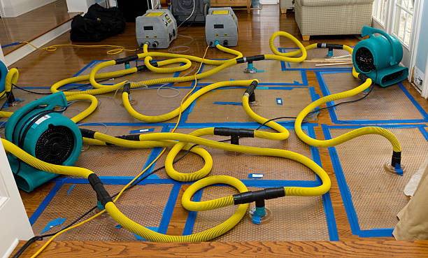 Professional Burst Pipe Water Damage technician working in Northfield, IL
